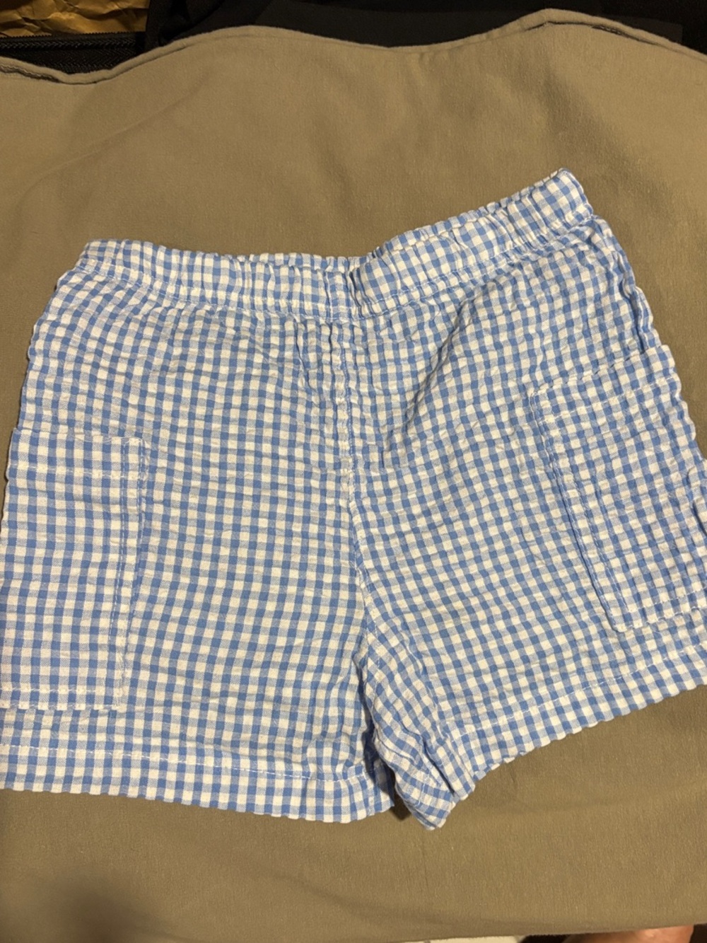 Willow Blue and White Gingham Shorts